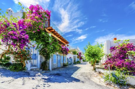 UÇAKLI EGE'NİN KÖYLERİ TURU