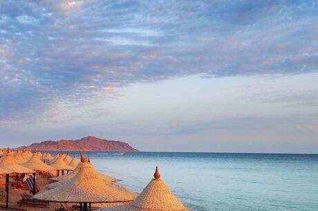 MISIR TURU KURBAN BAYRAMI 2026