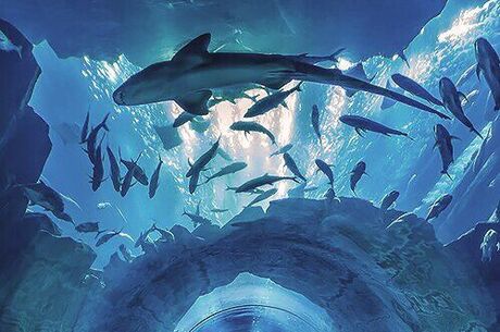 ANTALYA KÜLTÜR TURU