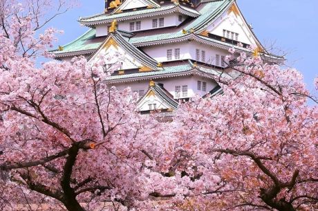 JAPONYA & KORE TURU (KOYO ZAMANI) YENİ