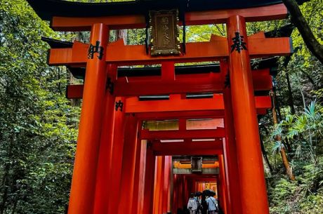 JAPONYA & KORE TURU (KOYO ZAMANI) YENİ