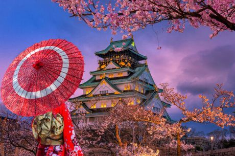 JAPONYA & KORE TURU (KOYO ZAMANI) YENİ